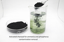 Activated Carbon for Nitrogen and Phosphorus Pollutants Removal