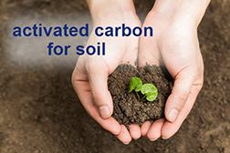 activated carbon for soil remediation