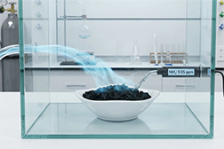 imprengated pellet activated carbon for Ammonia Removal