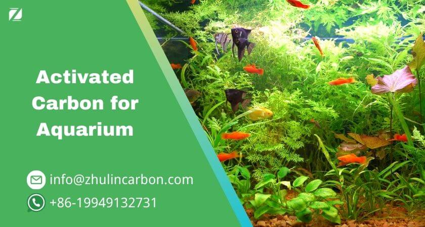karbon teraktif pukal untuk akuarium