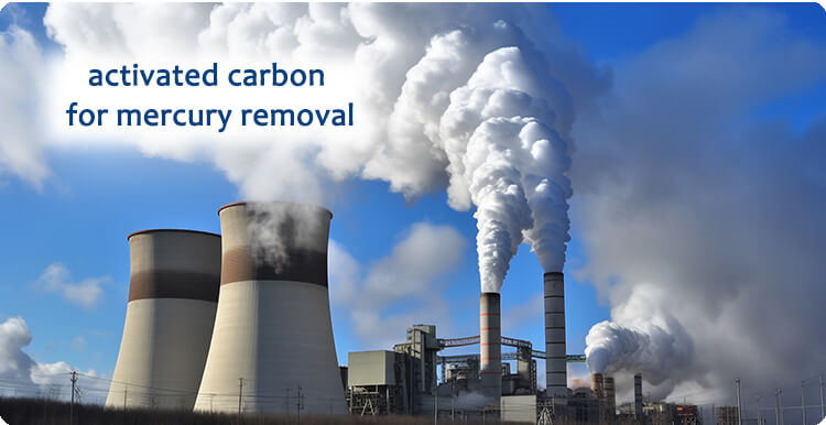 activated carbon for mercury removal