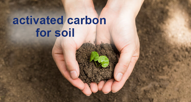 activated carbon for soil