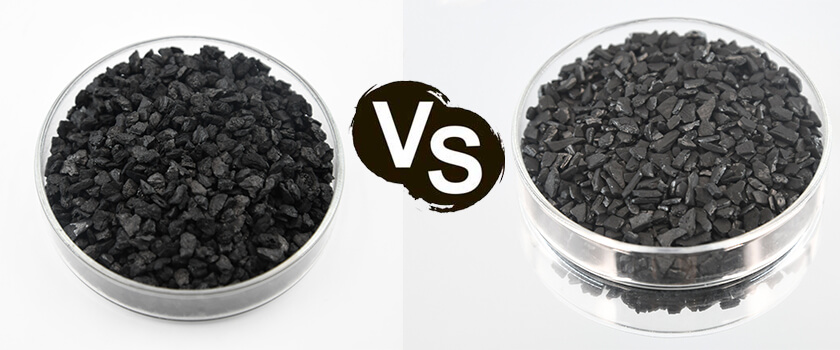 carbon dừa VS carbon than 